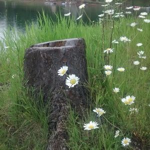 Meet your Posher, Natasha